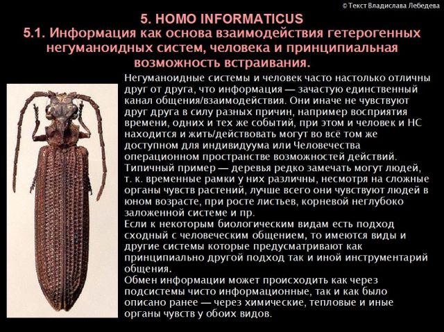 Homo informaticus информация как основа